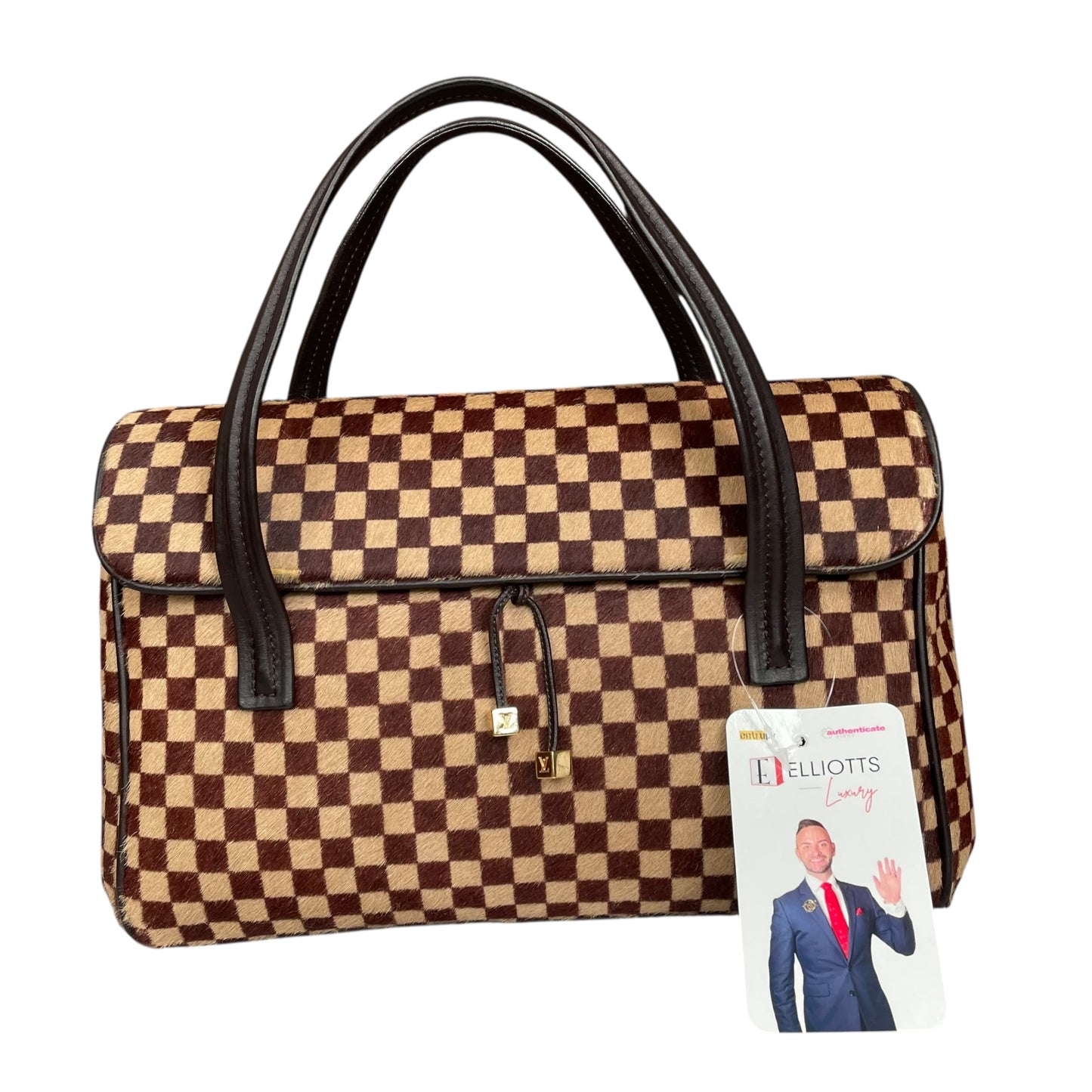 Louis Vuitton Damier Sauvage Pony Hair Lion Mini Snap Flap Purse