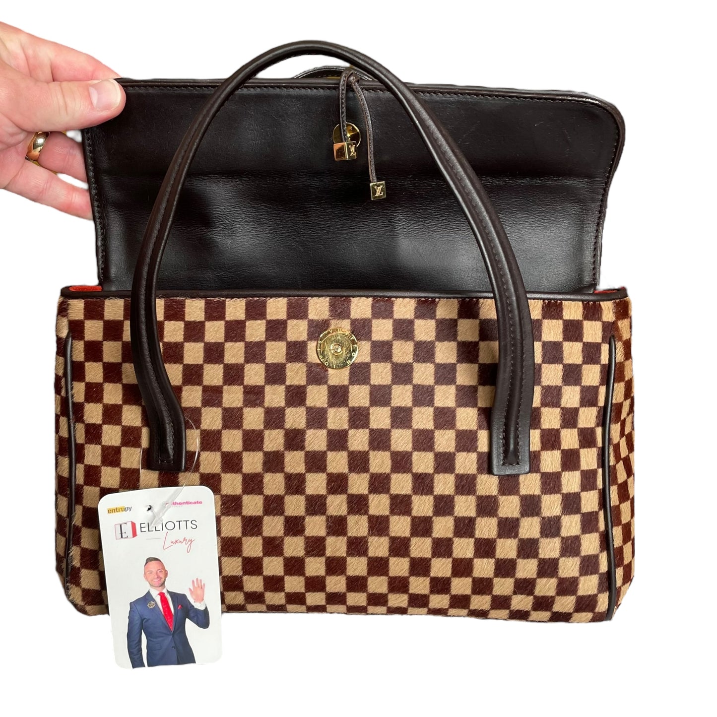Louis Vuitton Damier Sauvage Pony Hair Lion Mini Snap Flap Purse