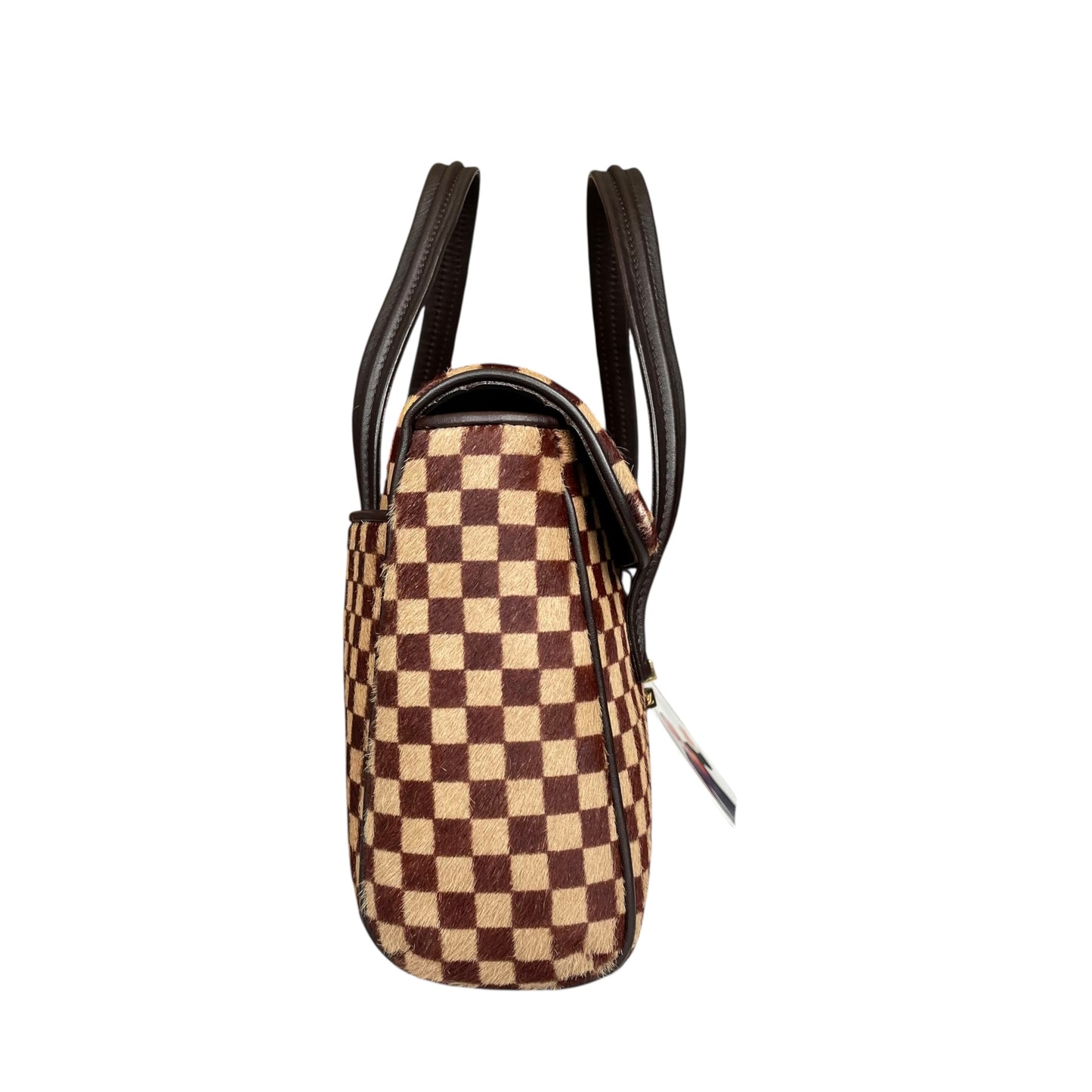 Louis Vuitton Damier Sauvage Pony Hair Lion Mini Snap Flap Purse