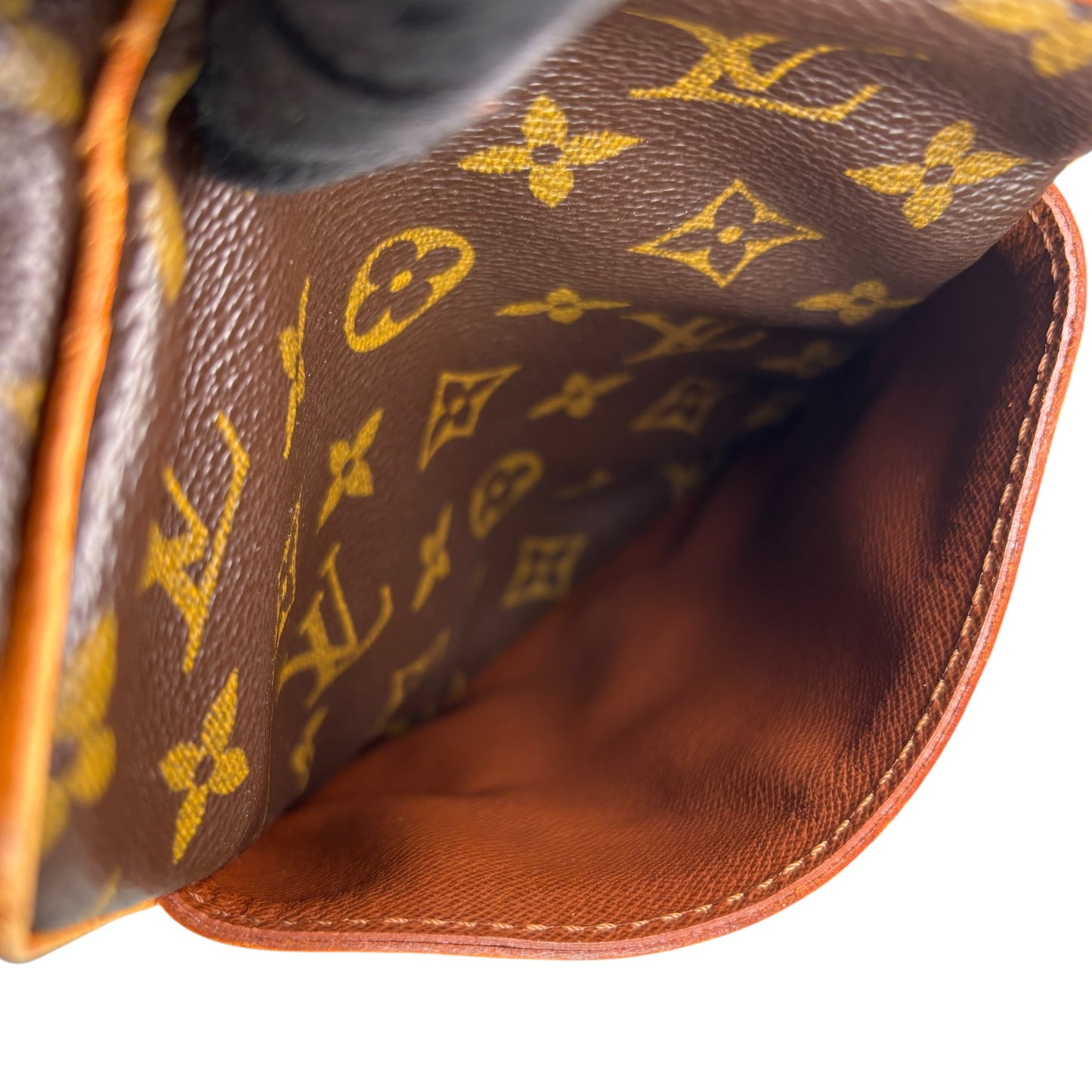 Louis Vuitton Danube PM Crossbody Monogram Canvas Bag